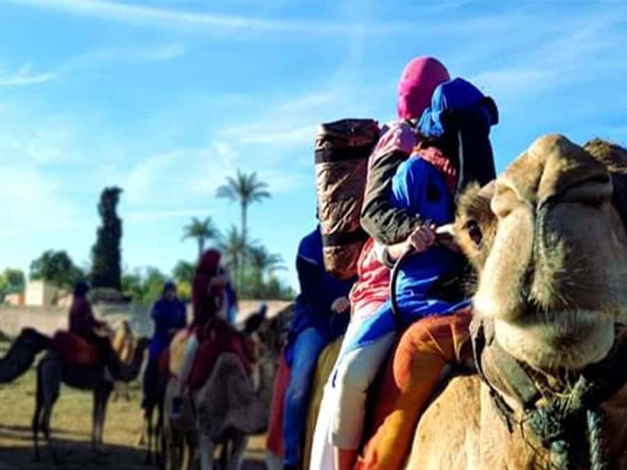 Marrakech: Half-Day Tour with Buggy Ride, Camel Ride and Spa - Key points to know before booking