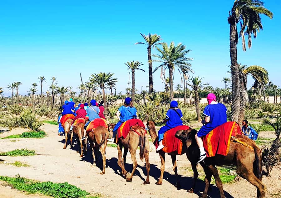 Marrakech: Half-Day Tour with Buggy Ride, Camel Ride and Spa - What the one-hour camel ride is really like
