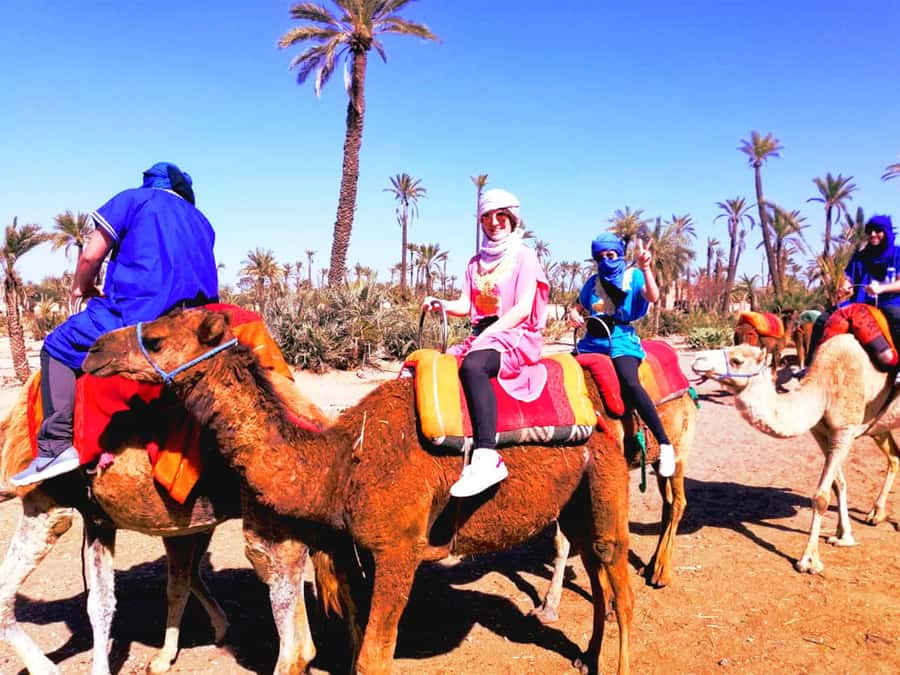 Marrakech: Half-Day Tour with Buggy Ride, Camel Ride and Spa - Is $146 per person a fair price?
