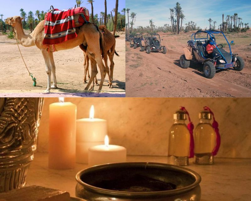 Marrakech: Half-Day Tour with Buggy Ride, Camel Ride and Spa - Who should book this Marrakech half-day?