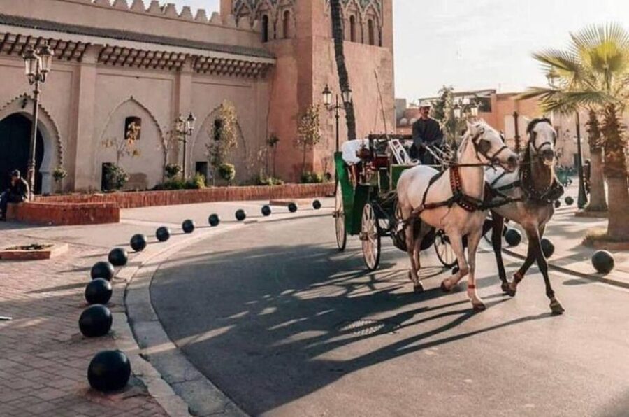 Marrakech: Hidden Souks Shopping Tour with Private Guide - Route Sidi Abdelaziz and the final purchases
