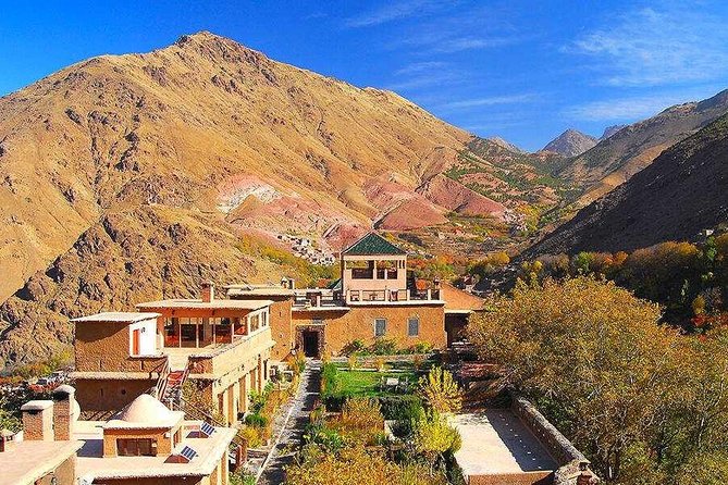 Marrakech High Atlas mountains 3 Valleys waterfalls & Camel Ride - Visiting the Argan women’s cooperative