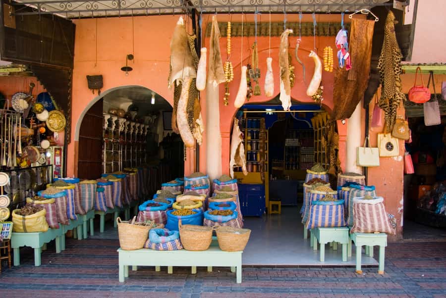 Marrakech: Historical Discovery Tour - How the guide shapes the experience