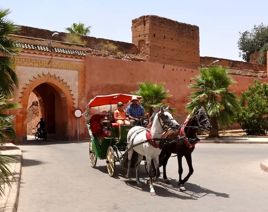 Marrakech: Horse-Drawn Carriage Tour - Key points to know before booking