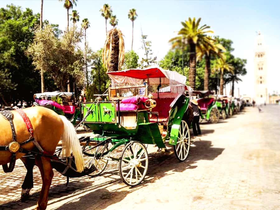 Marrakech: Horse-Drawn Carriage Tour - What the two-hour Marrakech outing feels like
