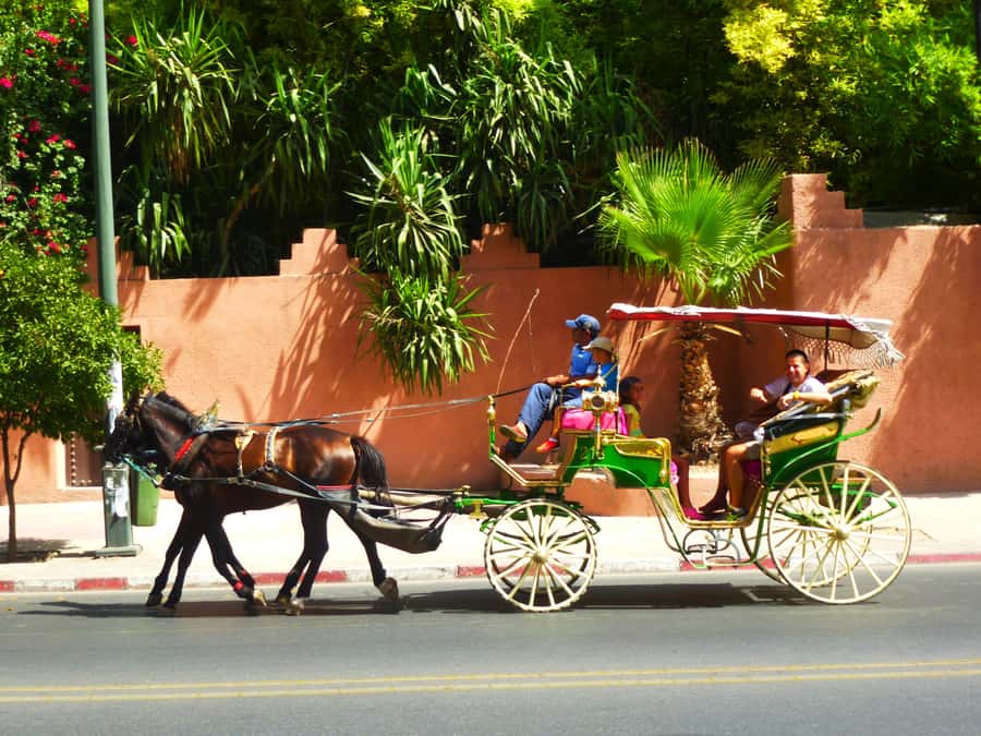 Marrakech: Horse-Drawn Carriage Tour - The Agnaou Door and the southern Medina
