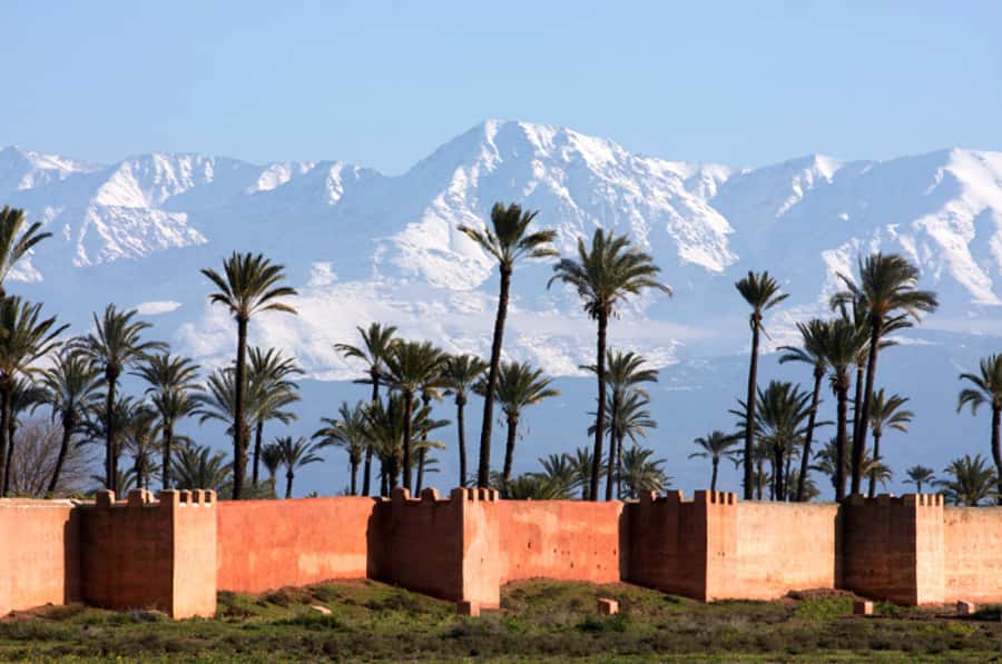 Marrakech: Horse-Drawn Carriage Tour - Koutoubia Mosque at sunset