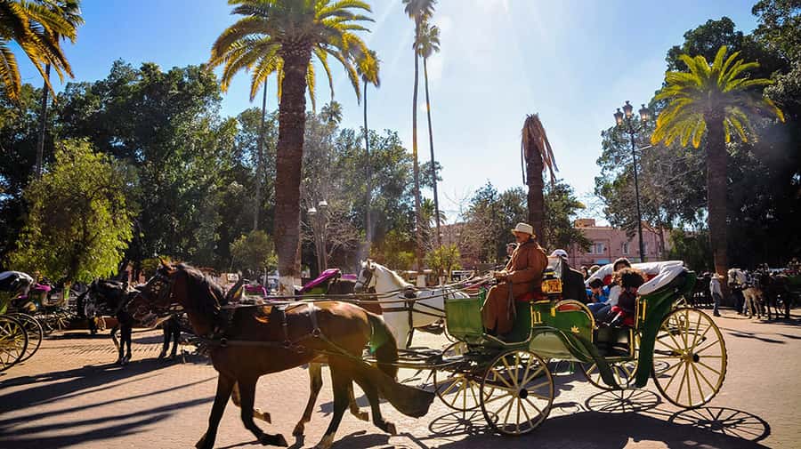 Marrakech: Horse-Drawn Carriage Tour - Ending at Jemaa El Fnaa