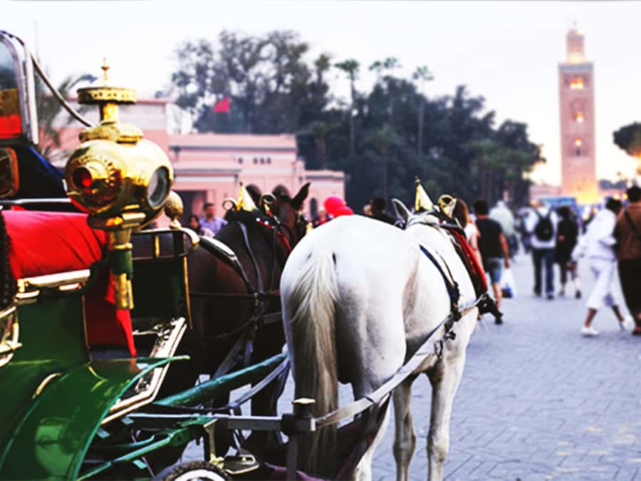 Marrakech: Horse-Drawn Carriage Tour - How much commentary should you expect?