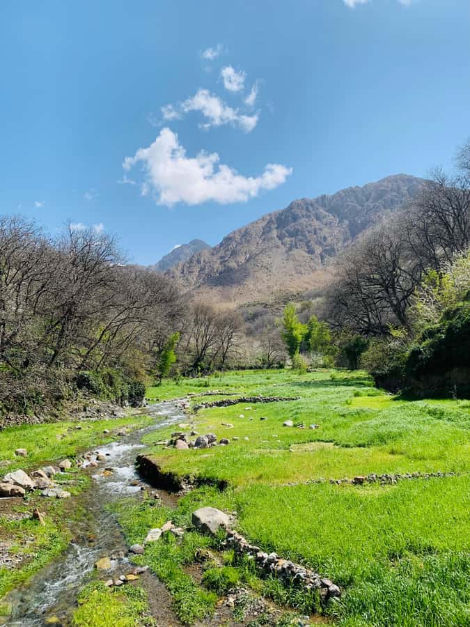 Marrakech: Imlil Atlas Mountains Day Trip with Lunch - What the $16 price really gives you