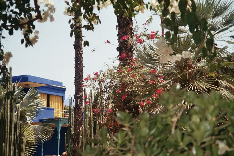 Marrakech: Majorelle Garden Entry Tickets Online - Why Majorelle Garden is worth your time