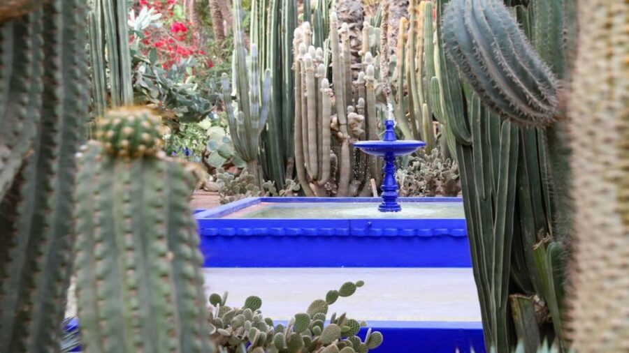 Marrakech: Majorelle Garden Entry Tickets Online - The blue buildings and Jacques Majorelle’s design
