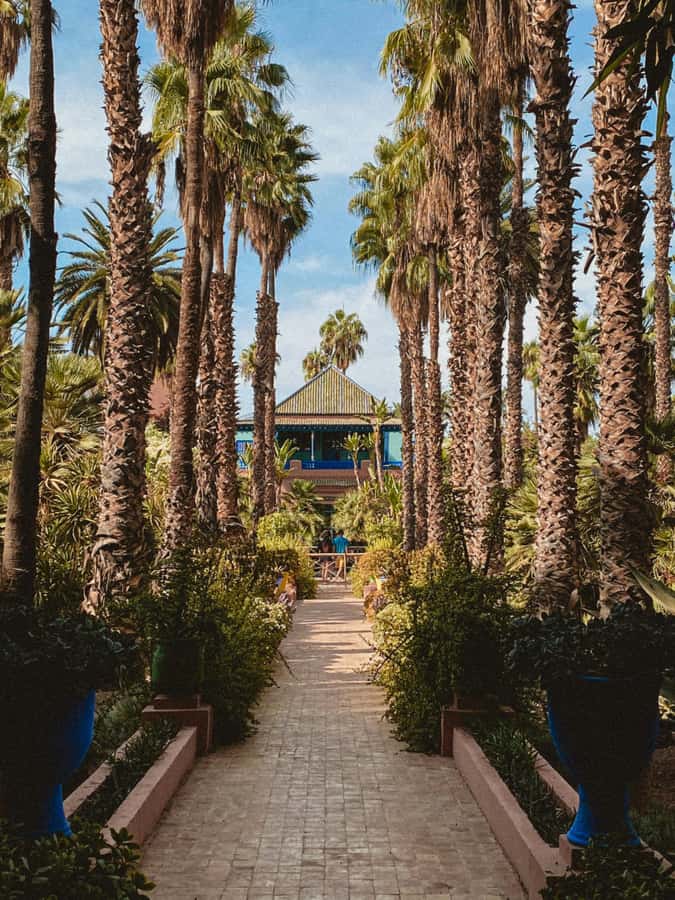 Marrakech: Majorelle Garden, Museums Tickets, & Audio Guide - The Yves Saint Laurent Museum