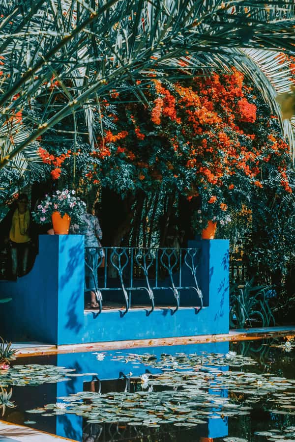 Marrakech: Majorelle Garden, Museums Tickets, & Audio Guide - Is $68 a Fair Price?