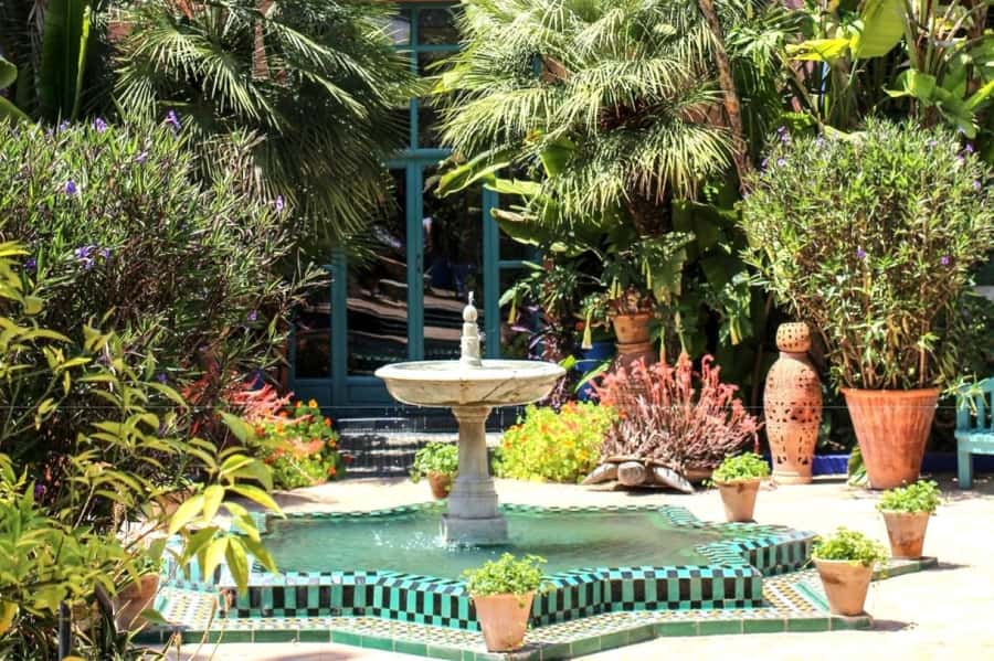 Marrakech: Majorelle Garden with a Digital Audio Guide App - The first paths: blue walls and bold plant forms