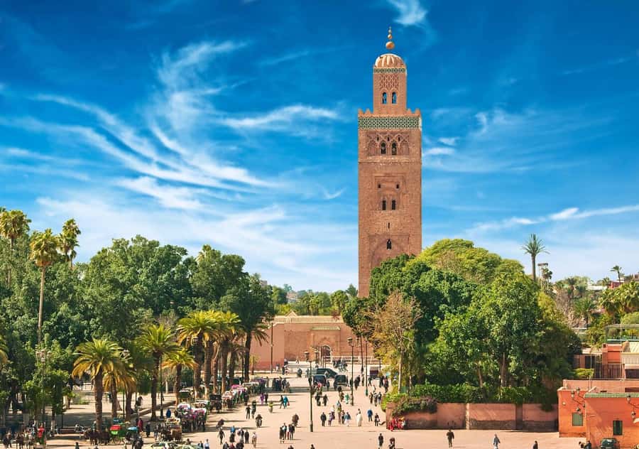 Marrakech: Majorelle & Menara Garden Tour and Carriage Ride - What is included, and what is not