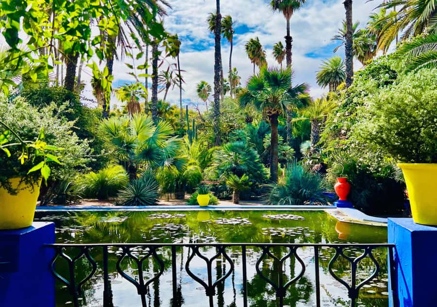 Marrakech: Majorelle & Menara Garden Tour and Carriage Ride - Majorelle Garden and the famous blue villa