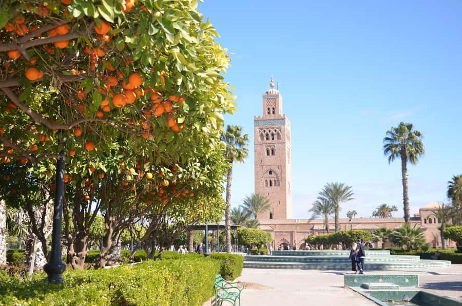 Marrakech: Monuments, Souks and Medina Guided Walking Tour - Ben Youssef Medersa and the detail worth slowing down for