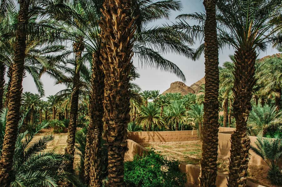 Marrakech/Ouarzazate: 2-Day Desert with Camel, 4x4 & Meals - Ait Ben Haddou, Morocco’s movie-set village