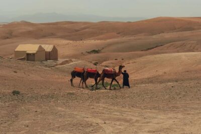 Marrakech/Ouarzazate: 2-Day Desert with Camel, 4×4 & Meals