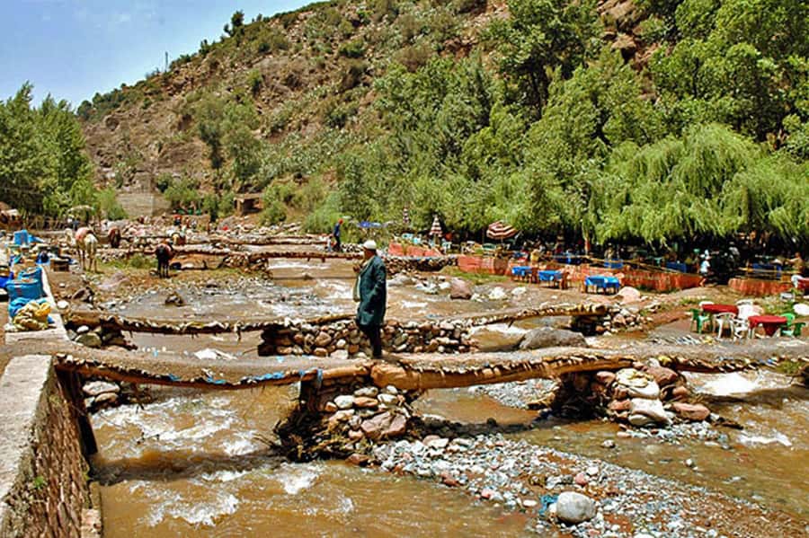 Marrakech: Ourika Valley and Atlas Mountains Day Trip - Who should book this day trip?