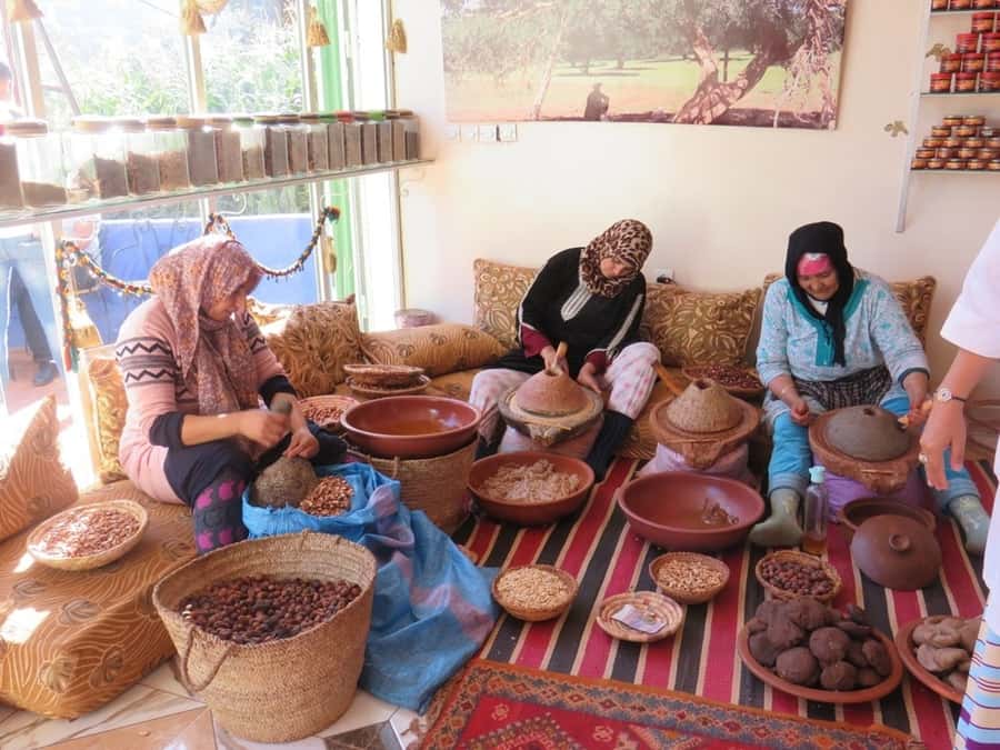 Marrakech: Ourika Valley & Atlas Mountains Half-Day Trip - Is $64 good value for five hours?