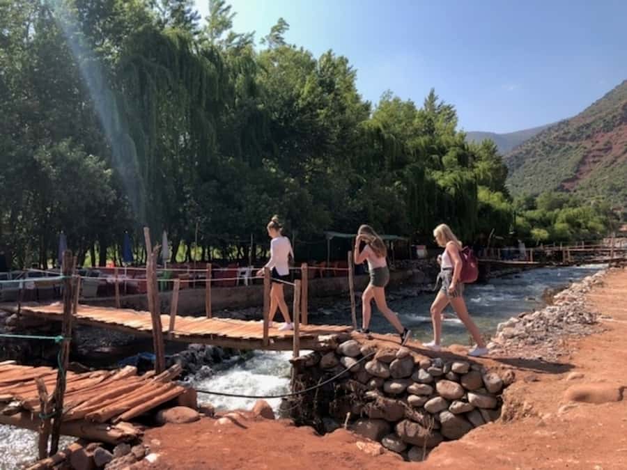 Marrakech: Ourika Valley & Atlas Mountains Half-Day Trip - Who should book this half-day trip?