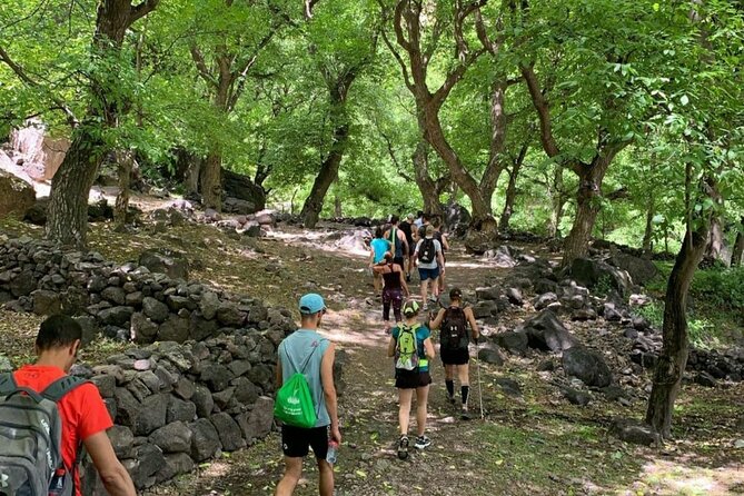 Marrakech: Ourika Valley, Atlas Mountains, Waterfalls & Lunch - Who should book this Ourika Valley trip