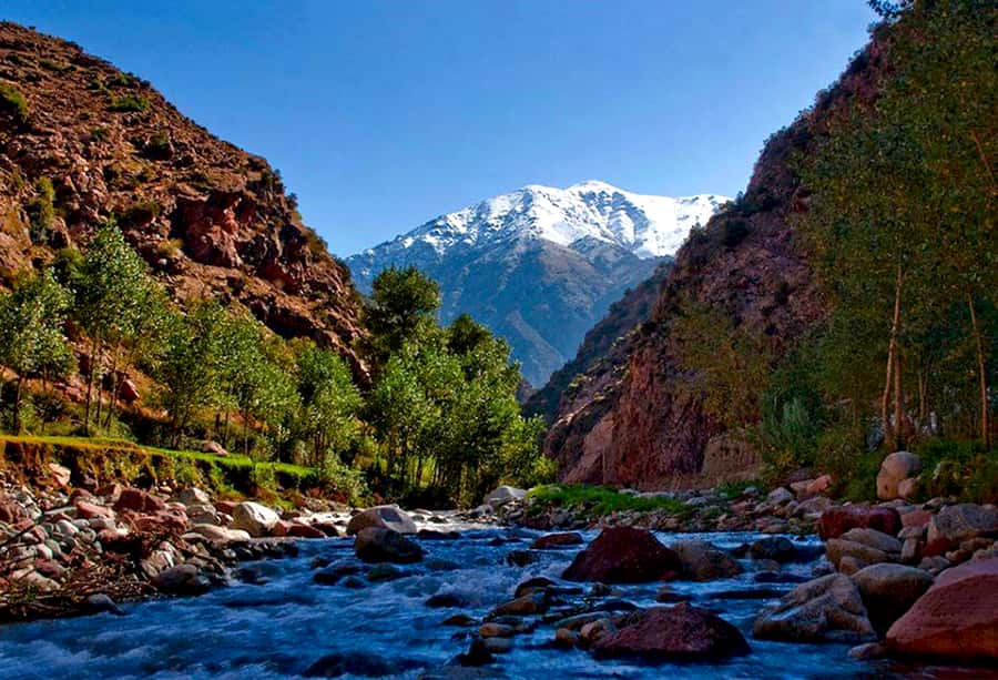 Marrakech: ourika valley Atlas Mountains & Waterfalls Trip - The Women-Run Argan Oil Cooperative