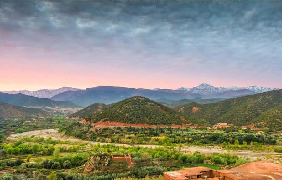 Marrakech: Ourika Valley Day Trip & Waterfalls Hike - How Argan oil fits into the day
