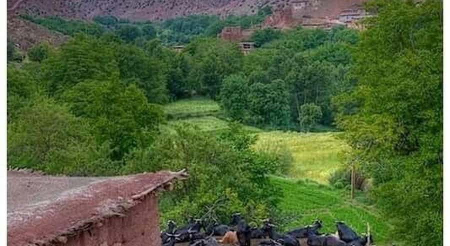Marrakech: ourika valley lunch & guided hike to waterfalls - The rocky climb to Setti Fatma’s waterfalls