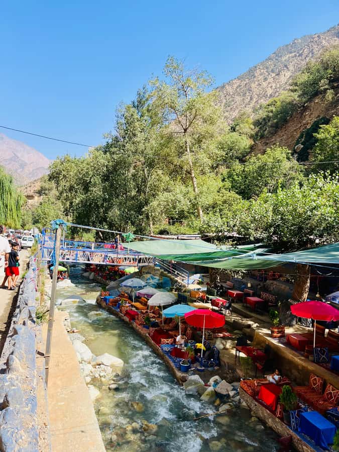 Marrakech: ourika valley & waterfall Day Trip with guide - Key points to know
