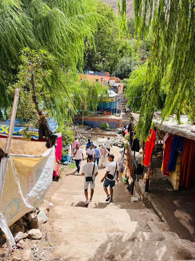 Marrakech: ourika valley & waterfall Day Trip with guide - What the waterfall walk is really like