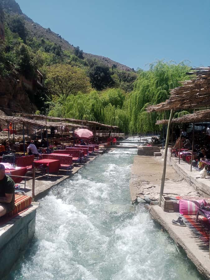 Marrakech: ourika valley & waterfall Day Trip with guide - Tea, argan oil, and a local women’s cooperative