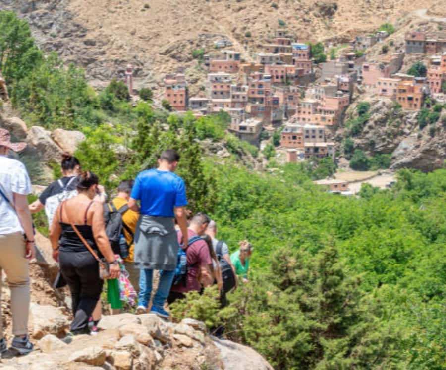 Marrakech: Ourika Valley,Waterfalls, Atlas Luxury Day trip - The argan-oil cooperative: useful, but expect shopping