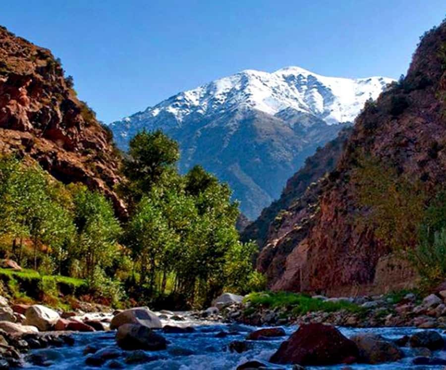 Marrakech: Ourika Valley,Waterfalls, Atlas Luxury Day trip - Lunch beside the Ourika River