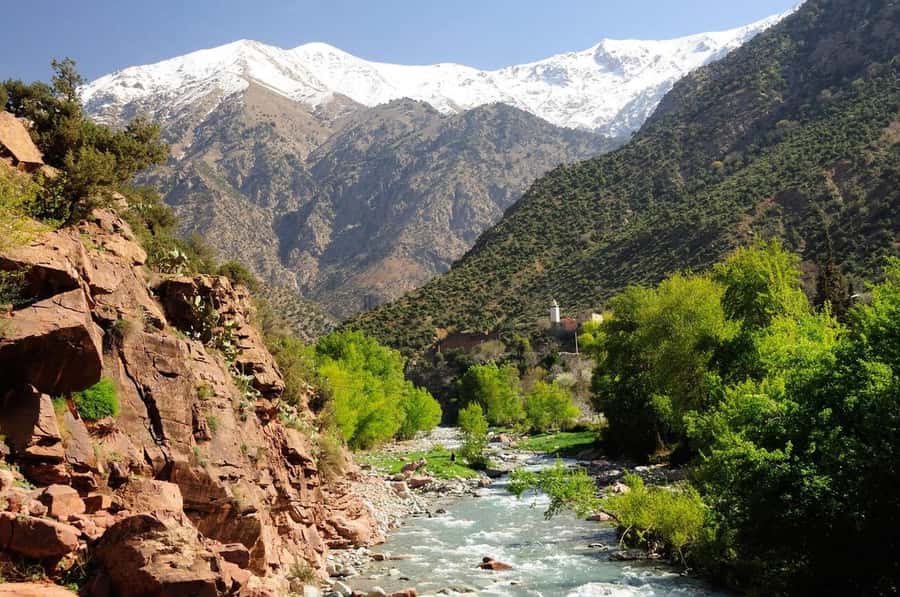Marrakech: Ourika Valley Waterfalls & Atlas Mountains Trip - Transport, timing, and value at $13