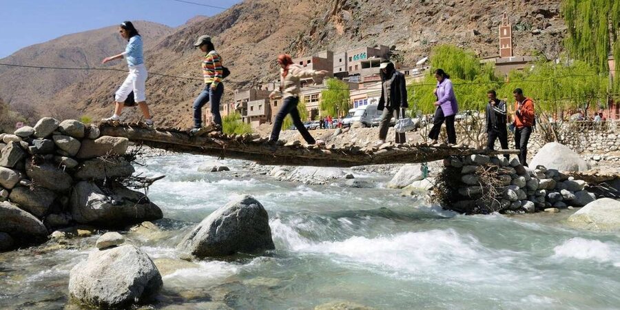 Marrakech: Ourika Valley Waterfalls & Atlas Mountains Trip - Which guide style suits this trip?