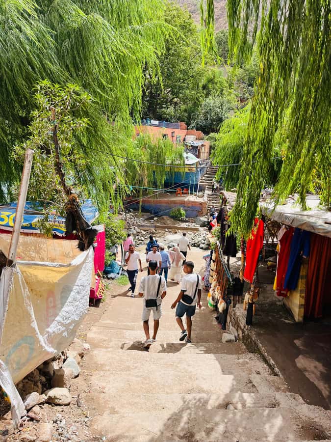 Marrakech: Ourika Valley Waterfalls & guided hike - Lunch beside the Ourika River