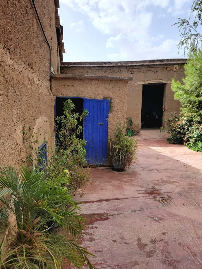 Marrakech: Ourika Valley, Waterfalls Private Trip with Lunch - The return drive and what the timing means