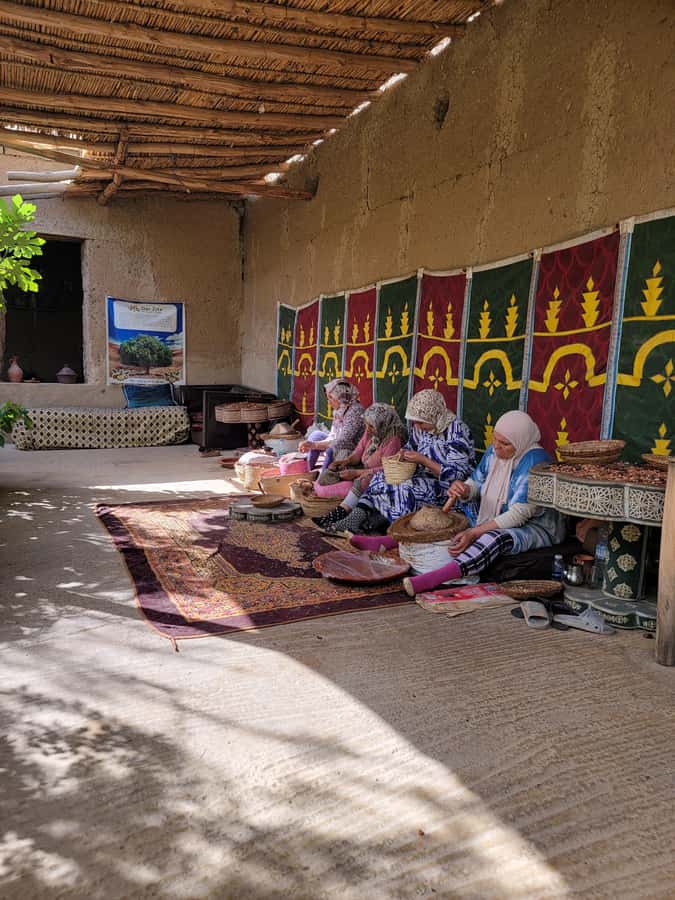 Marrakech: Ourika Valley, Waterfalls Private Trip with Lunch - What the $79 price really covers