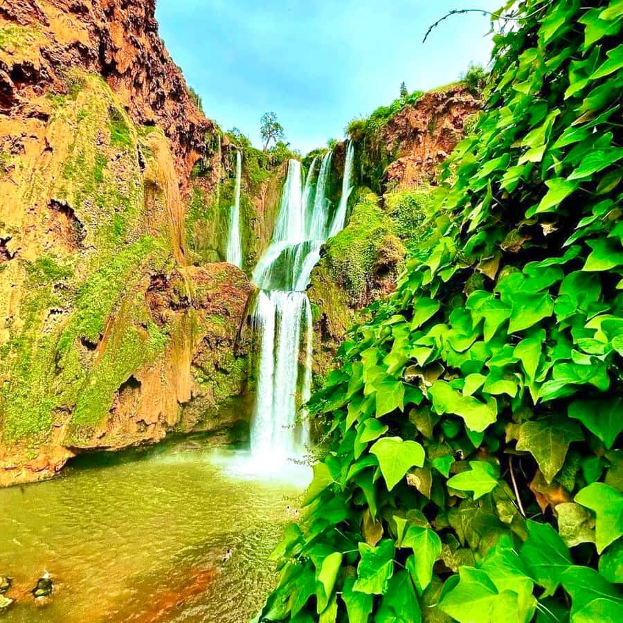 Marrakech: Ouzoud Waterfall, Guided Hike, Boat Ride & Lunch - Guides who add value to the outing