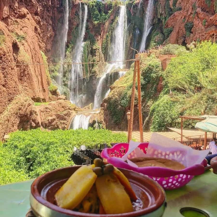 Marrakech: Ouzoud Waterfall, Guided Hike, Boat Ride & Lunch - Who will get the most from this day trip