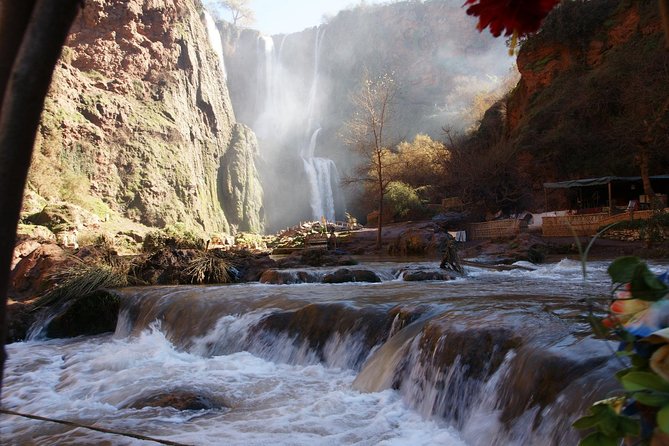 Marrakech: Ouzoud Waterfalls Guided Day Trip with Boat Ride - Meeting the Barbary macaques
