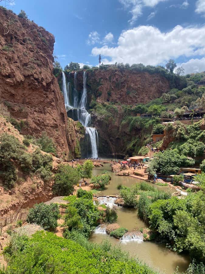 Marrakech : Ouzoud Waterfalls & Guided Tour & Boat Ride - Barbary macaques along the trail