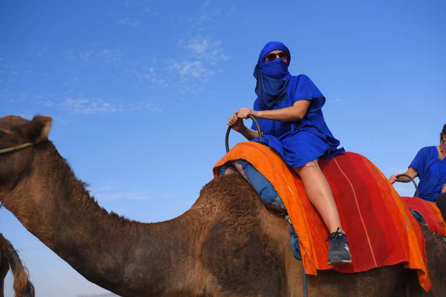 Marrakech: pack quad and camel ride in the palm grove - A quick ride from Marrakech to the Palmeraie