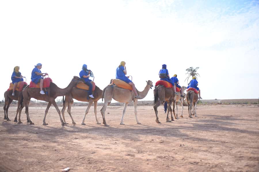 Marrakech: pack quad and camel ride in the palm grove - Two hours across rocky ground and palms