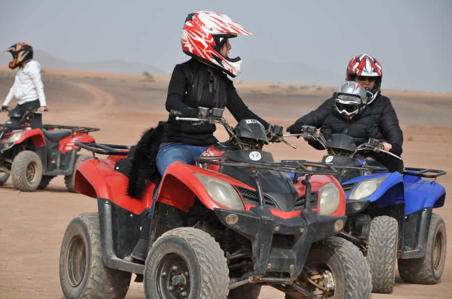 Marrakech: pack quad and camel ride in the palm grove - Mint tea, bread, honey, and olives