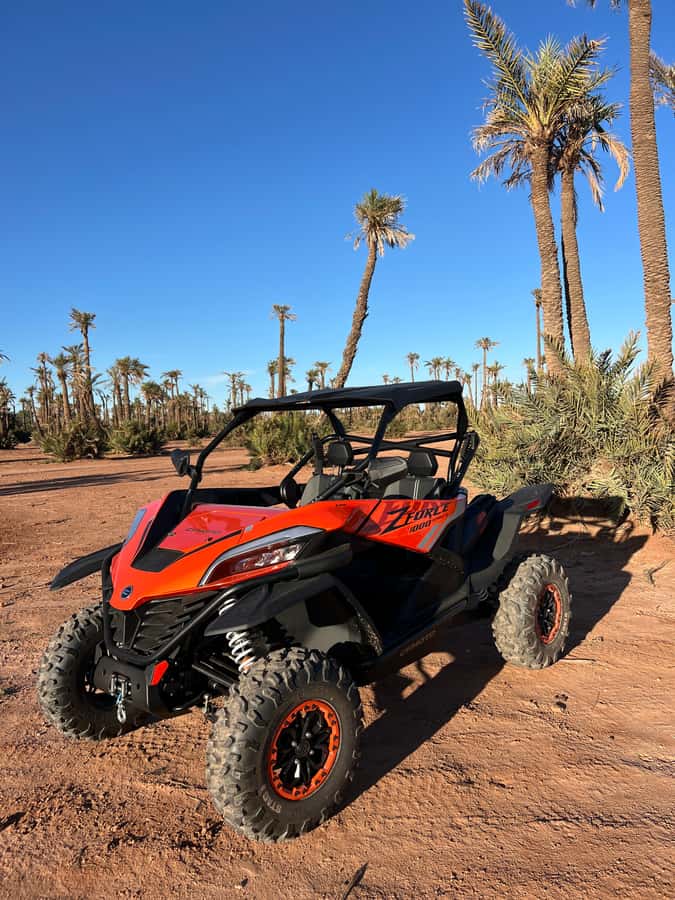 Marrakech : Palm Grove and jbilat Desert Buggy 1000cc Tour - Quick take on the Marrakech buggy ride