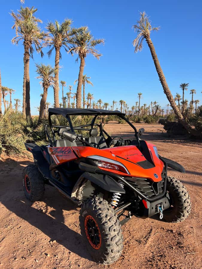 Marrakech : Palm Grove and jbilat Desert Buggy 1000cc Tour - What the two-hour route feels like